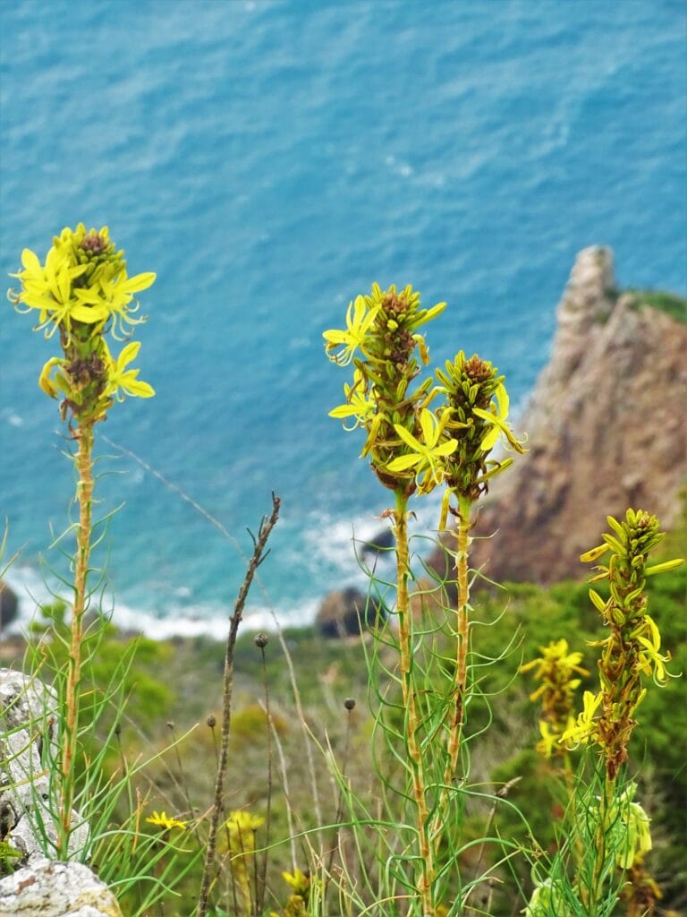 Exploranelmondo-trekkingtoscana-trekkingdigruppo-toscana