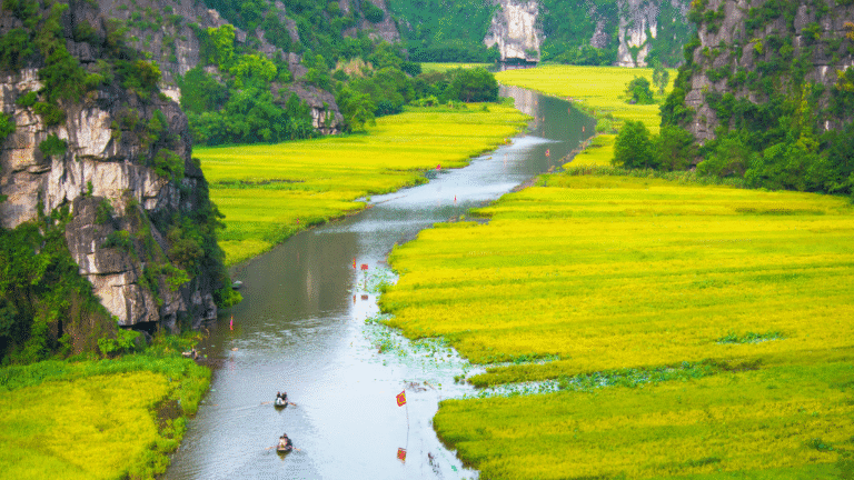 Barche tradizionali che navigano tra le formazioni carsiche di Tam Coc in Vietnam