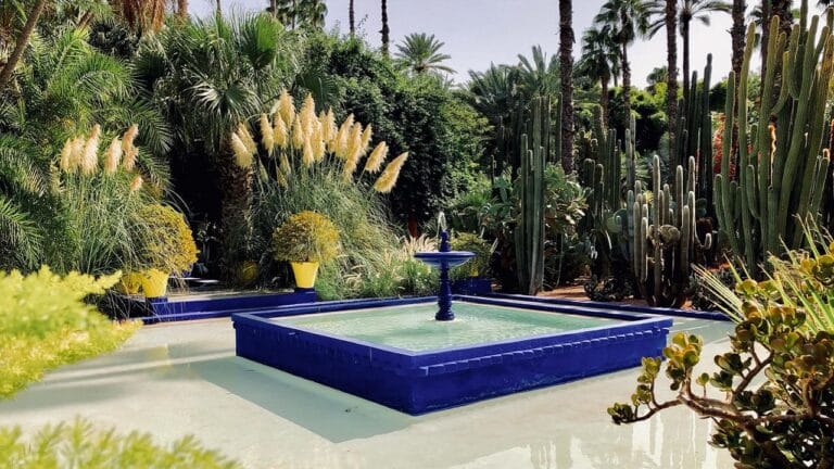majorelle-giardinidimajorelle-viaggioinmarocco-viaggio-in-marocco-exploramarocco-explora-marocco-viaggidigruppo-viaggi-di-gruppo
