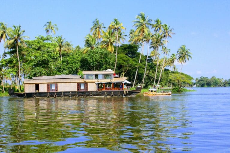Tradizionale houseboat che naviga tra le backwaters del Kerala in India
