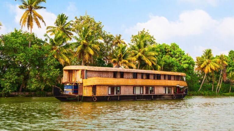 Tradizionale houseboat che naviga tra le backwaters del Kerala in India