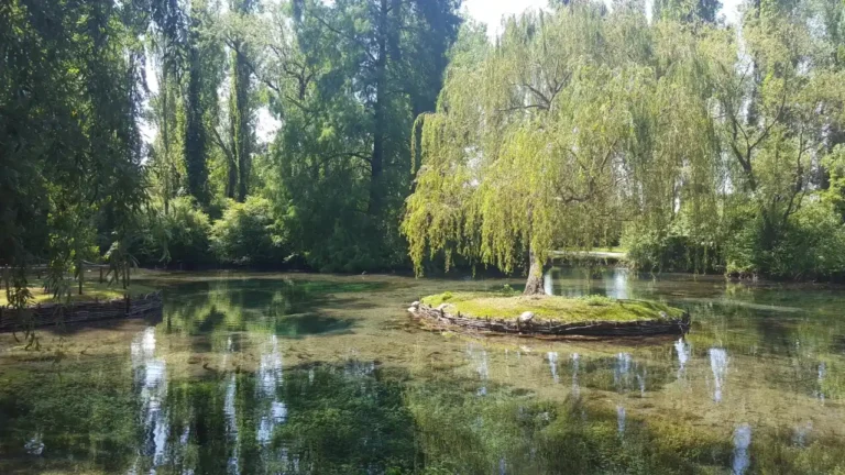 Laghetto dalle acque cristalline con un salice piangente su un isolotto centrale, circondato da una fitta vegetazione, tappa del tour in bici in Umbria.