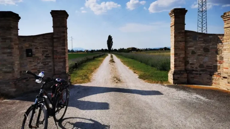 Una bicicletta da cicloturismo parcheggiata all'ingresso di un viale sterrato tra pilastri di mattoni, con campi di lavanda e colline umbre sullo sfondo.