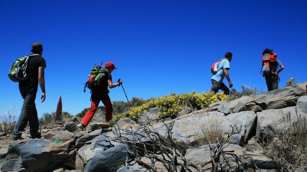 Gruppo trekking a Tenerife, trekking con guida locale