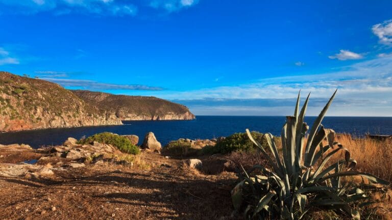 Panorama costiero dell'Isola di Capraia con sentiero trekking, scogliere a picco sul mare e vegetazione mediterranea sotto un cielo azzurro.