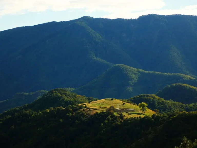 Un escursionista con zaino cammina lungo un sentiero ben tracciato all'interno di una fitta e rigogliosa foresta di faggi, nel Parco Nazionale delle Foreste Casentinesi.
