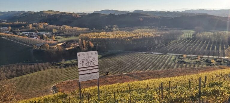 Trekking Langhe con guida ambientale - Paesaggio delle Langhe