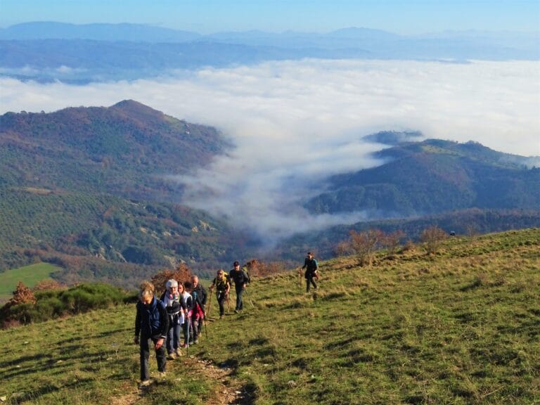 Passeggiata trekking in Valtiberina - con guida ambientale
