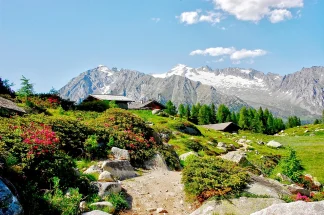 Trekking di gruppo Presanella con guida ambientale in piccolo gruppo - trekking stelvio e adamello - exploranelmondo tour operator
