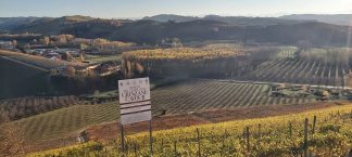 Trekking Langhe con guida ambientale - Paesaggio delle Langhe