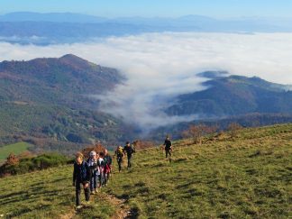Passeggiata trekking in Valtiberina - con guida ambientale