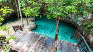 Cenote con acqua limpida e vegetazione tropicale nello Yucat&aacute;n, Messico