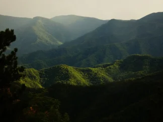 Un escursionista risale un sentiero ripido e sassoso all'interno della foresta, con un cartello segnaletico CAI rosso e bianco su un albero, nel Parco delle Foreste Casentinesi.