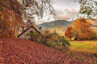 Foliage in Italia, panorama foliage